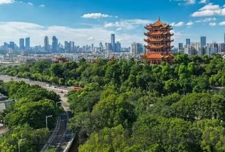 91麻豆精东果冻天美传媒老狼-解锁新媒体的魅力，老狼在91麻豆精东果冻天美传媒的勇敢旅程