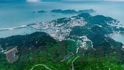 国产av麻豆精选-国产麻豆精选的魅力与价值探索