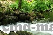 麻豆av.com-麻豆AV，网络生态中的隐私角落
