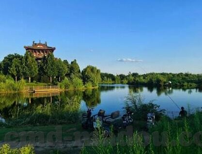 麻豆和91-麻豆背后的网络文化与91现象，理解与反思