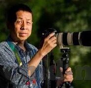 麻豆剧情视频-麻豆剧情视频，日常娱乐与文化创造的新趋势