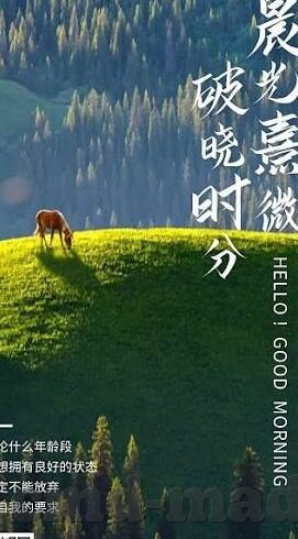 麻豆剧情视频在线-麻豆剧情视频，网罗多彩人生情感的视觉盛宴
