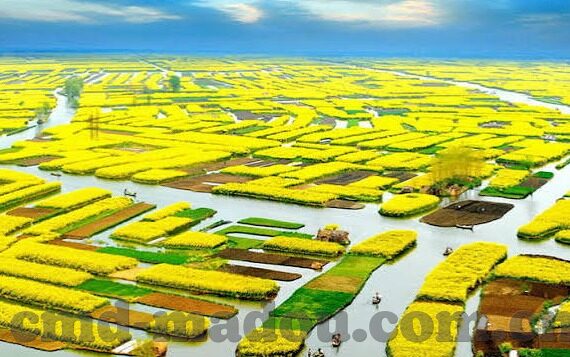 麻豆星空无限传媒-欲海星光，麻豆星空无限传媒的虚拟与现实交融