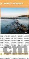 免费在线麻豆视频网址-解锁新视听，探寻免费在线麻豆视频资源