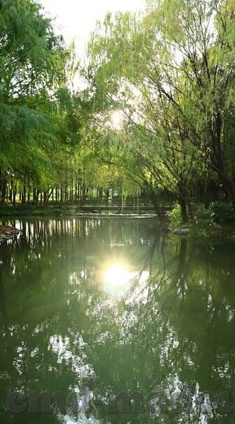 日韩av一道本-日韩AV文化，一道本与文化现象的深度探索