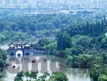 台湾三级伦理片-台湾三级伦理片，文化、社会与法律的复杂交织
