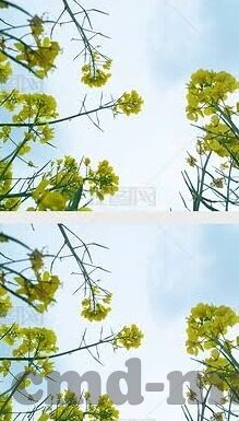 糖心app应用下载-糖心App应用下载指南，解锁优质体验的钥匙